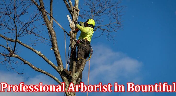 Complete Information About Professional Arborist in Bountiful - Tree Health and Maintenance