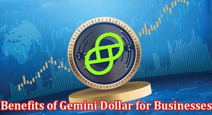 Complete Information About The Benefits of Gemini Dollar for Businesses