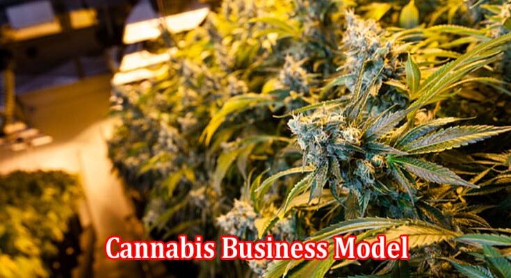 How to Choose the Right Cannabis Business Model