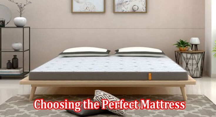 A Comprehensive Guide to Choosing the Perfect Mattress