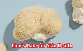 The Surprising Benefits of Lion's Mane for Skin Health 