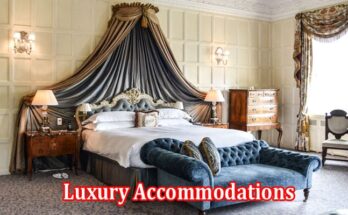 The Ultimate Guide to Choosing Luxury Accommodations