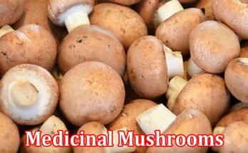 Complete Information About Medicinal Mushrooms - Nature’s Personal Bodyguards Against Free Radicals