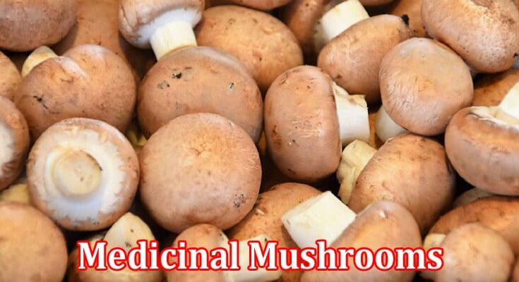 Complete Information About Medicinal Mushrooms - Nature’s Personal Bodyguards Against Free Radicals