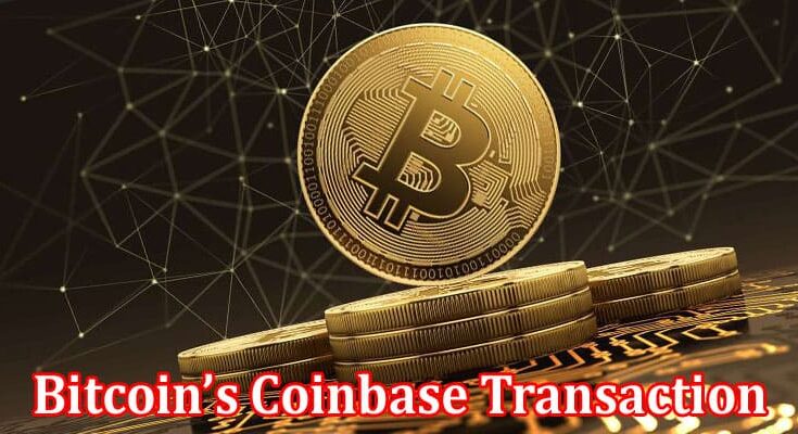 Complete Information About Uncovering the Bitcoin’s Coinbase Transaction - Rewards and Scripts