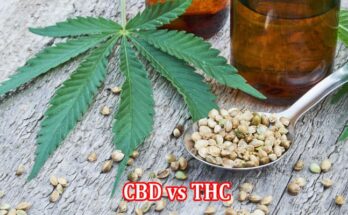 CBD vs THC A Comprehensive Overview of Differences