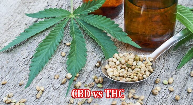 CBD vs THC A Comprehensive Overview of Differences