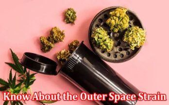 Complete Information About Everything You Need to Know About the Outer Space Strain