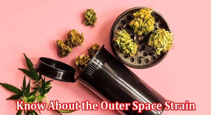 Complete Information About Everything You Need to Know About the Outer Space Strain