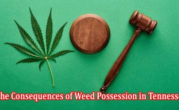 Complete Information The Consequences of Weed Possession in Tennessee