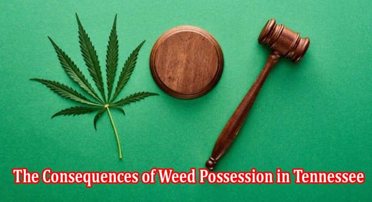 Complete Information The Consequences of Weed Possession in Tennessee