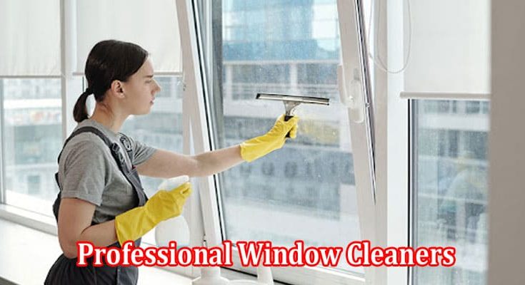 Why Choose Professional Window Cleaners for Your Home or Business