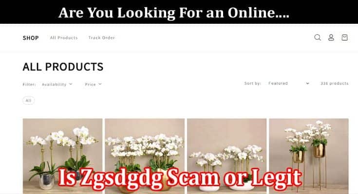 Is Zgsdgdg Scam or Legit Online Website Reviews