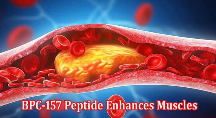 Supporting Tissue Repair How BPC-157 Peptide Enhances Muscles and Joints