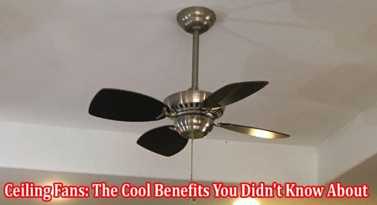 Ceiling Fans The Cool Benefits You Didn't Know About