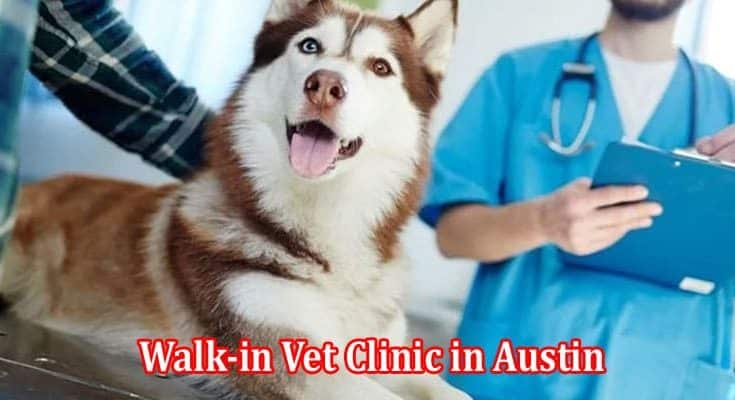 Visit the Best Walk-in Vet Clinic in Austin