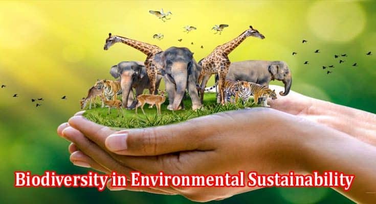 What is the Importance of Biodiversity in Environmental Sustainability