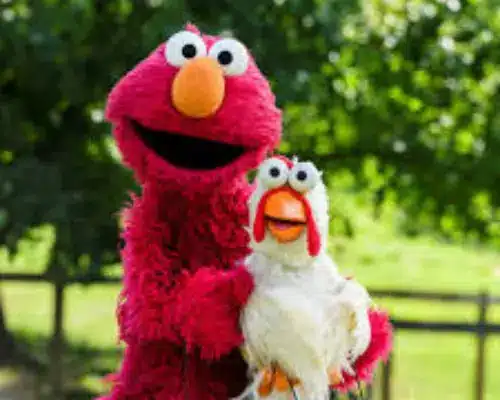 Elmo's Chicken